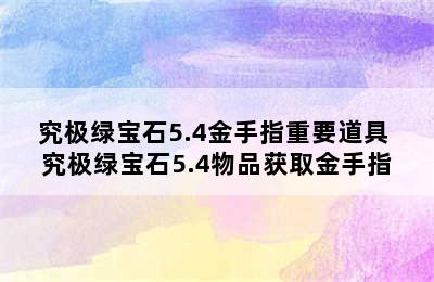 究极绿宝石5.4金手指重要道具 究极绿宝石5.4物品获取金手指